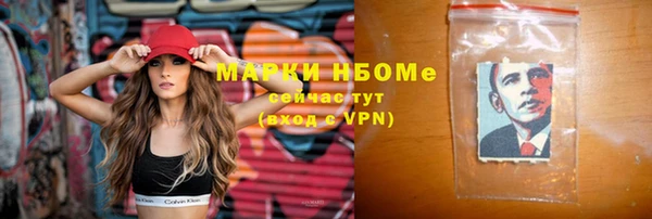 мдпв Ладушкин