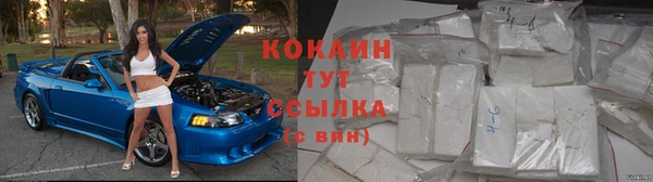 мдпв Ладушкин