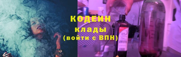 мдпв Ладушкин